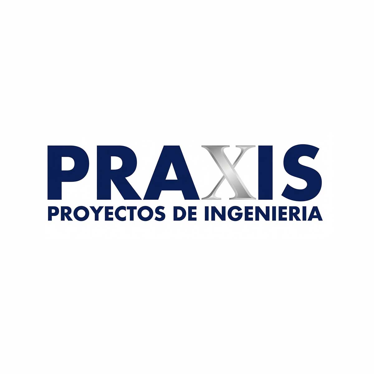 11_Praxis-Proyecto-De-Ingeniería-SAC